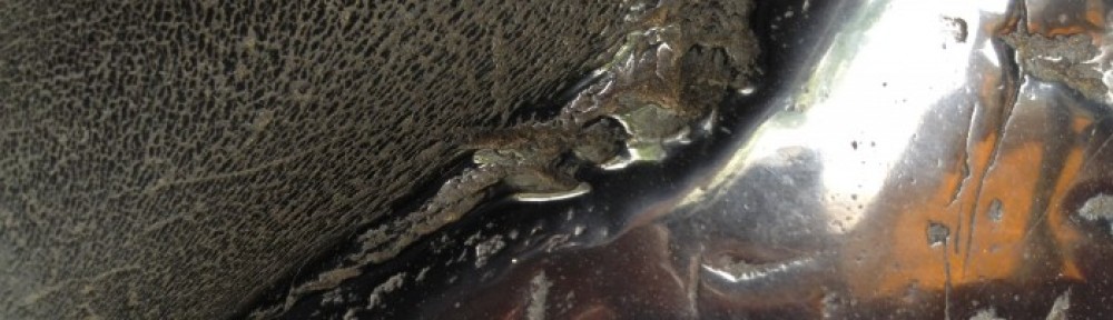 Thoughts from in between